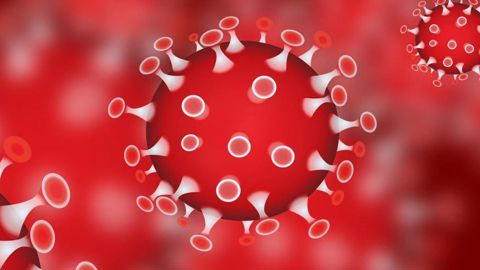 Une illustration du coronavirus responsable de la menace de pandémie début 2020. © Pixabay